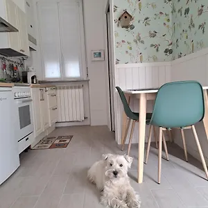 Il Piccolo Nido Appartamento Gallarate